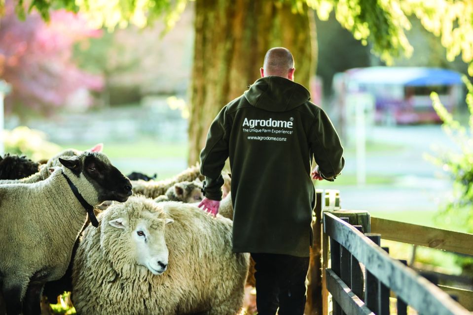 1 rotorua agrodome farm tour with show and produce tasting Rotorua: Agrodome Farm Tour With Show and Produce Tasting