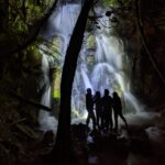 1 rotorua nocturnal glow worm tour with a guide Rotorua: Nocturnal Glow Worm Tour With a Guide