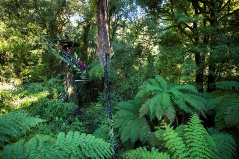 Rotorua: Ultimate Guided Zipline Tour W/ Volcanic Cliff Walk