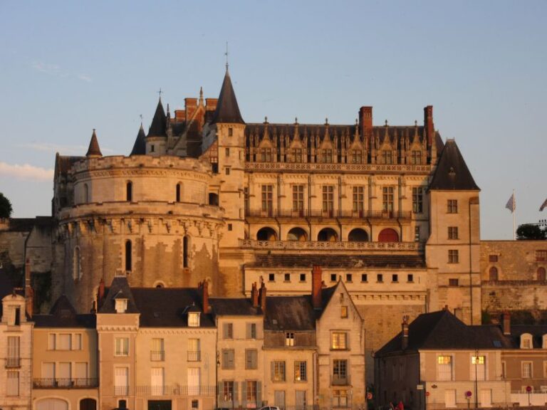 Royal Château of Amboise Private Tour With Entry Tickets