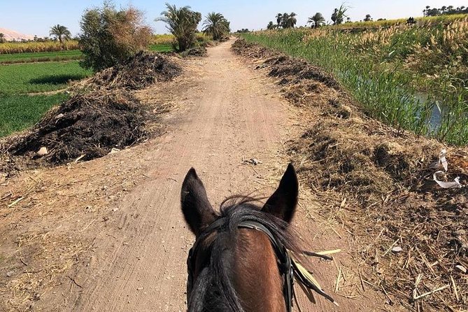 Rural Horse Riding Adventure