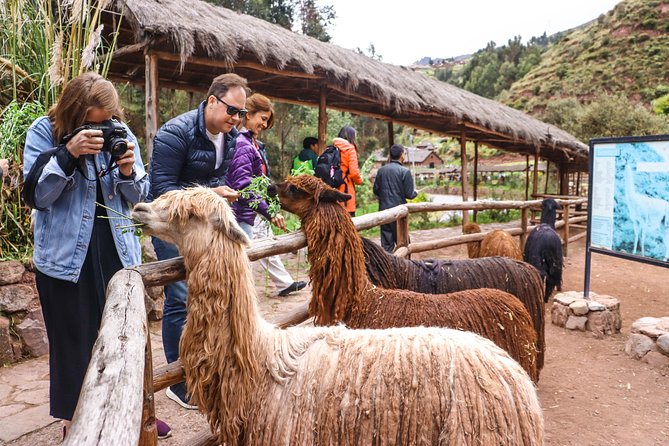 Sacred Valley Tour