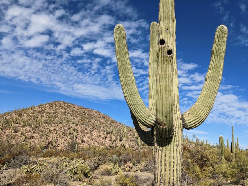 1 saguaro national park self guided gps audio tour Saguaro National Park: Self-Guided GPS Audio Tour