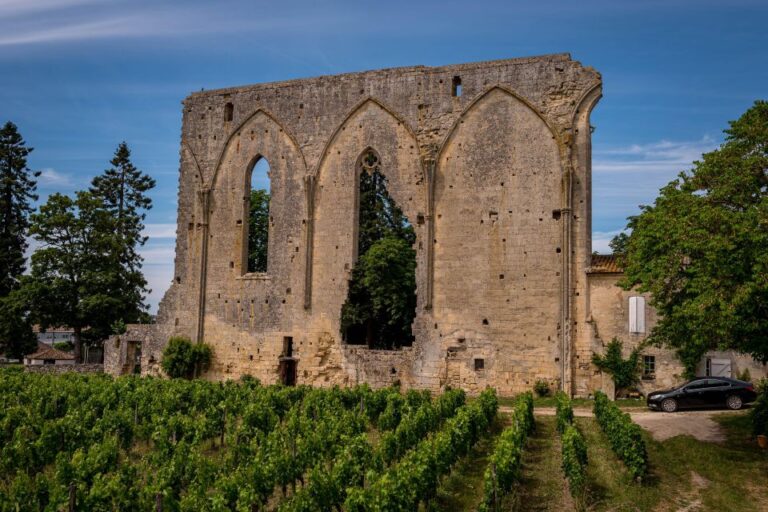 Saint Emilion Half Day Ebike and Wine Tour With Picnic