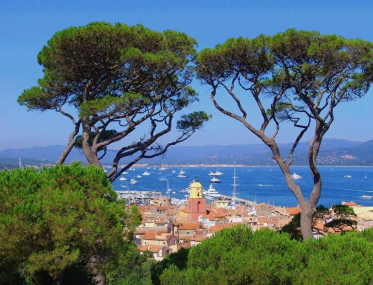 Saint Tropez Full-Day Tour From Nice