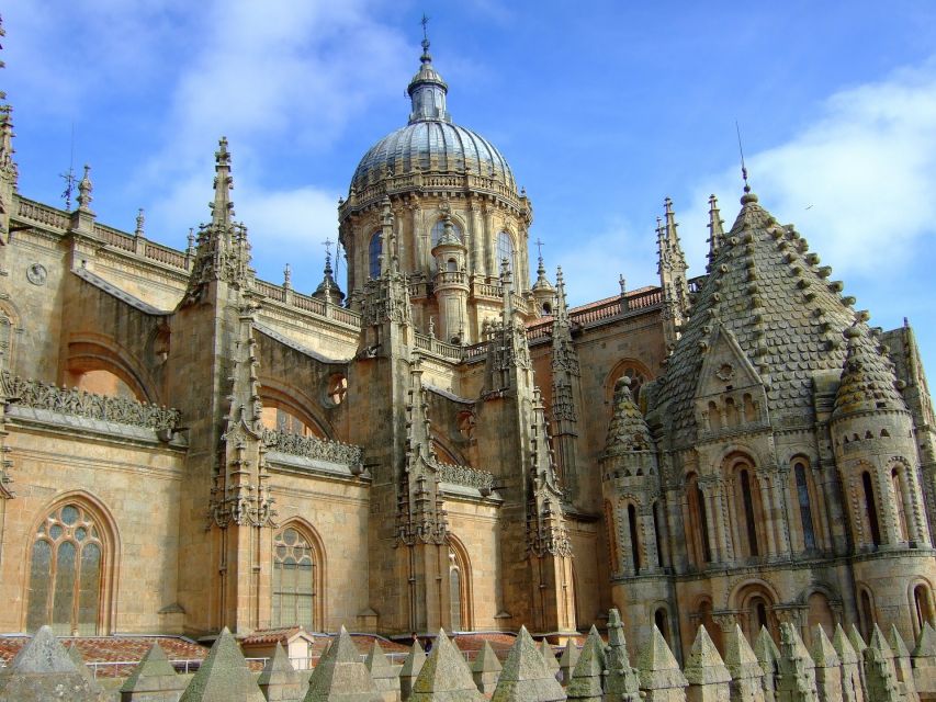 1 salamanca private tour with a local Salamanca: Private Tour With a Local