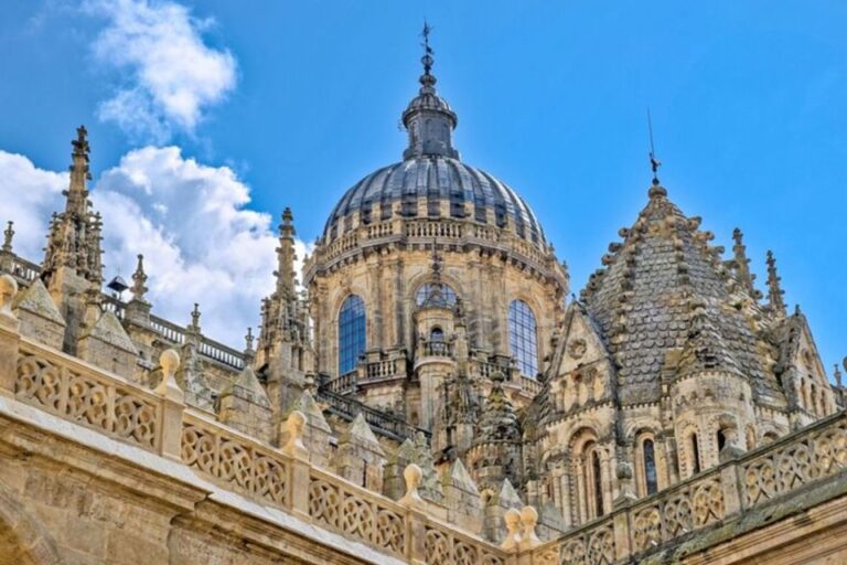 Salamanca: Private Walking Tour With a Local Guide