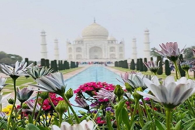 Same Day Taj Mahal Tour From Delhi With Lunch at 5 Star Hotel