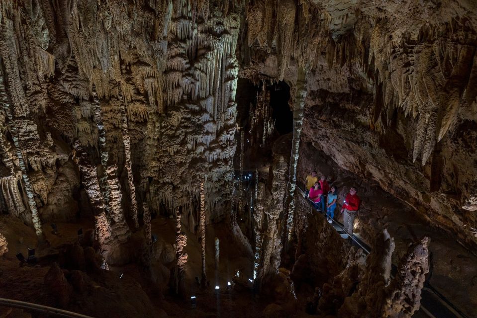 1 san antonio discovery tour at natural bridge caverns San Antonio: Discovery Tour at Natural Bridge Caverns