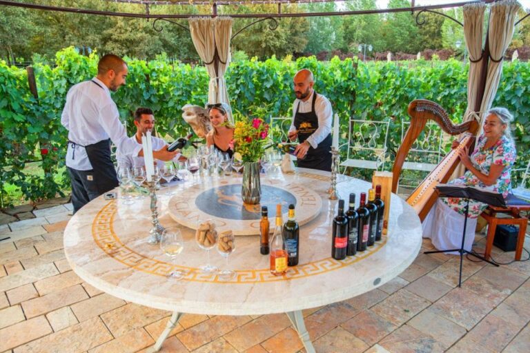 San Gimignano: Exclusive and Private Canopy Dinner in Winery