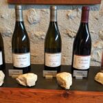 1 sancerre wine lover day tour with private driver Sancerre Wine Lover Day Tour With Private Driver