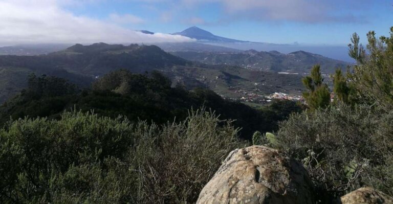 Santa Cruz De Tenerife: 2-Hour Hiking Tour in Anaga Forest