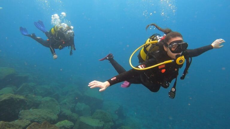 Santa Cruz De Tenerife: Introductory Diving Course & 2 Dives