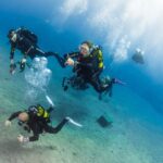 1 santa cruz de tenerife ssi open water diver course Santa Cruz De Tenerife: SSI Open Water Diver Course