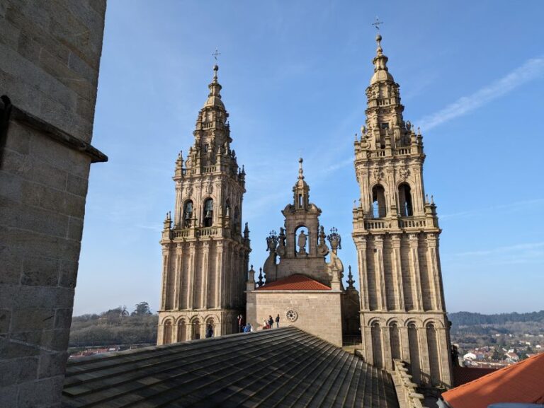 Santiago Cathedral: Visit With Rooftops and Portico Optional