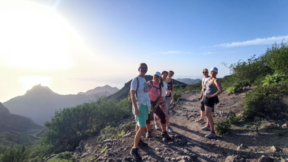 1 santiago del teide masca enchanted forest hiking tour Santiago Del Teide: Masca Enchanted Forest Hiking Tour