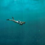 1 santorini 30min underwater photoshoot experience Santorini: 30Min. Underwater Photoshoot Experience