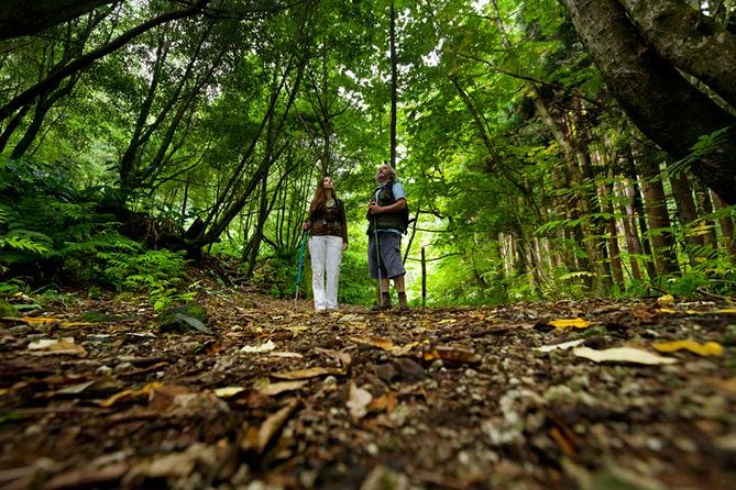 Sao Miguel Azores to Faial Da Terra Trek From Ponta Delgada