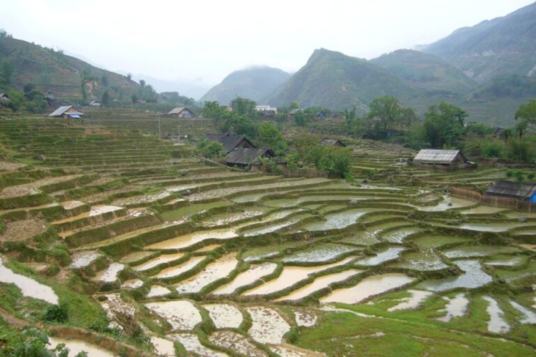 Sapa: 1-Day Trek Through Muong Hoa Valley & Villages