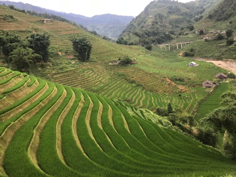 Sapa 2day 1night Trekking Tour