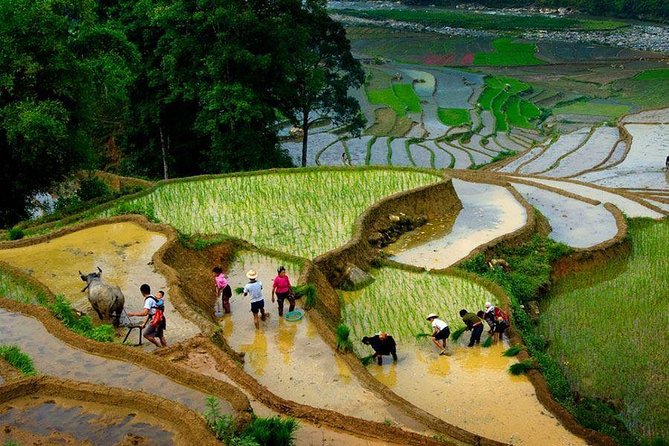 Sapa 3-Day Local Life Trek and Tour  – Hanoi