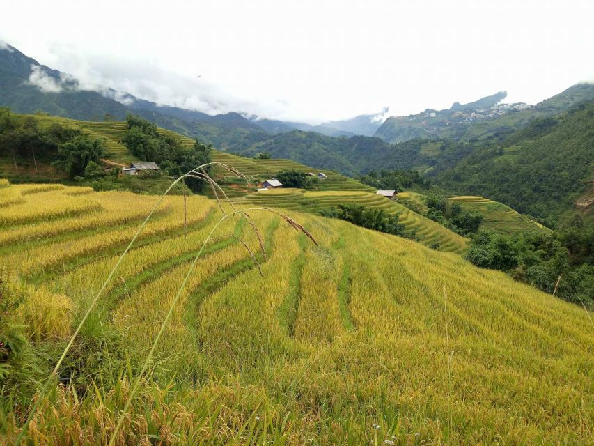 Sapa Bike Tour to Muong Hoa Valley and Local Life Experience