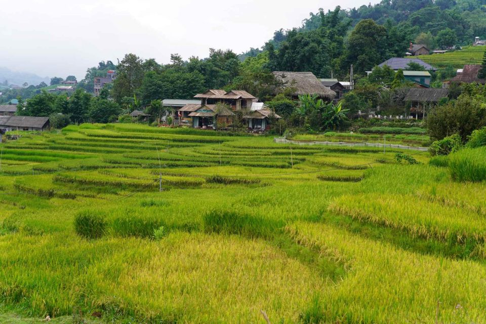 Sapa Full Day Trip to Ta Phin - Cat Cat Village With Lunch - Inclusions in the Sapa Tour