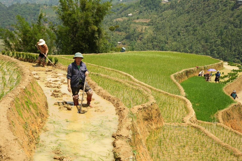 1 sapa hard trekking villages and homestay 2 days 1 night trip Sapa Hard Trekking Villages and Homestay 2 Days 1 Night Trip