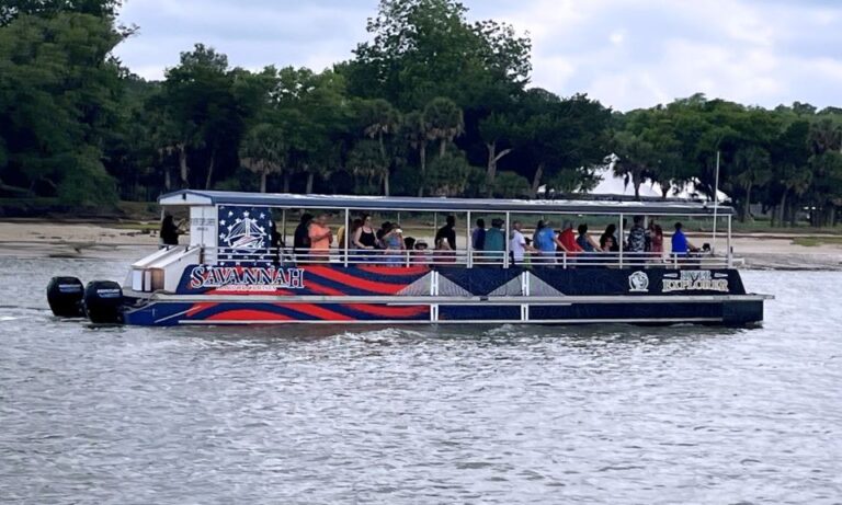 Savannah: Dolphin Spotting and Wildlife Eco Cruise