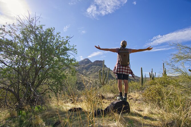 Scottsdale Desert Classic Hiking Adventure