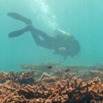 1 scuba dive experience Scuba Dive Experience