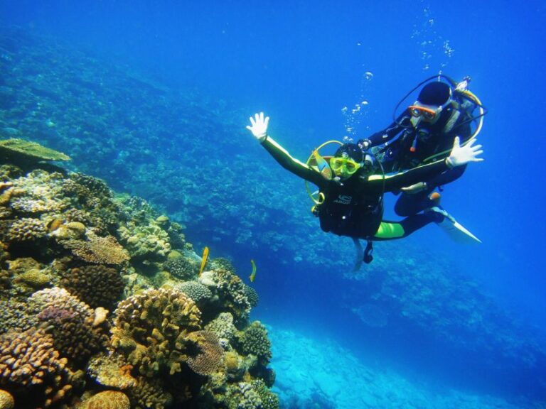 Scuba Diving 3 Islands Nha Trang Tour