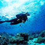 1 scuba diving adventure in dubai Scuba Diving Adventure in Dubai