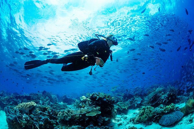 Scuba Diving Adventure in Dubai