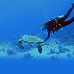 1 scuba diving at jumeirah dubai with private transfers Scuba Diving at Jumeirah Dubai With Private Transfers