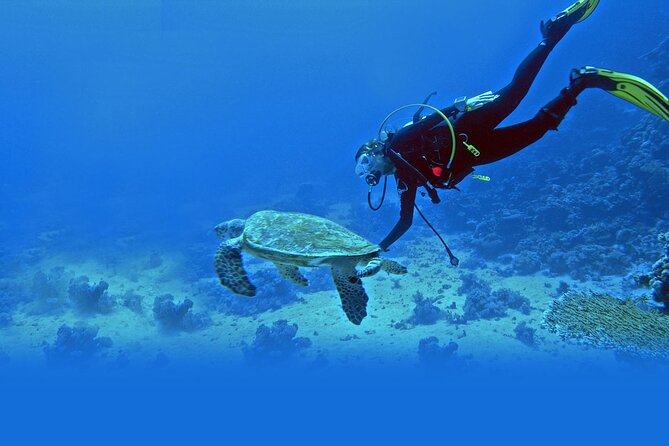 1 scuba diving at jumeirah dubai with private transfers Scuba Diving at Jumeirah Dubai With Private Transfers