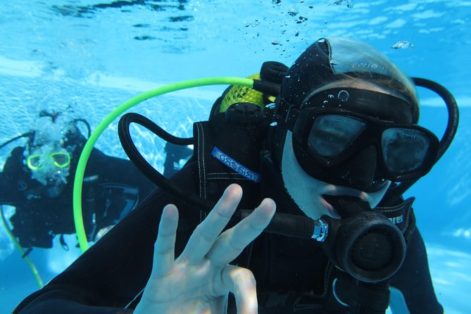 Scuba Diving Courses or Try Diving PADI or SSI