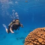 1 scuba diving experience in hurghada with lunch Scuba Diving Experience in Hurghada With Lunch