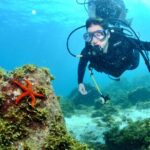 1 scuba diving in fujairah with private transfers Scuba Diving in Fujairah With Private Transfers