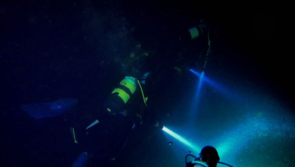 1 scuba night dive on tenerife Scuba Night Dive on Tenerife