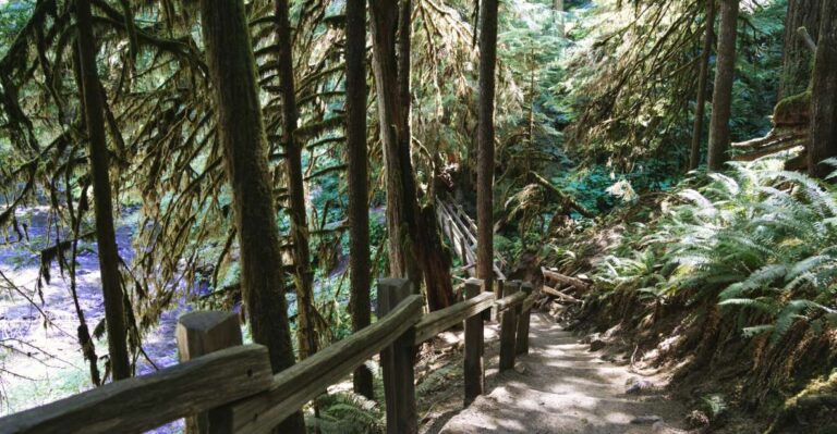 Seattle And Olympic NP Self-Guided Audio Bundle Tour