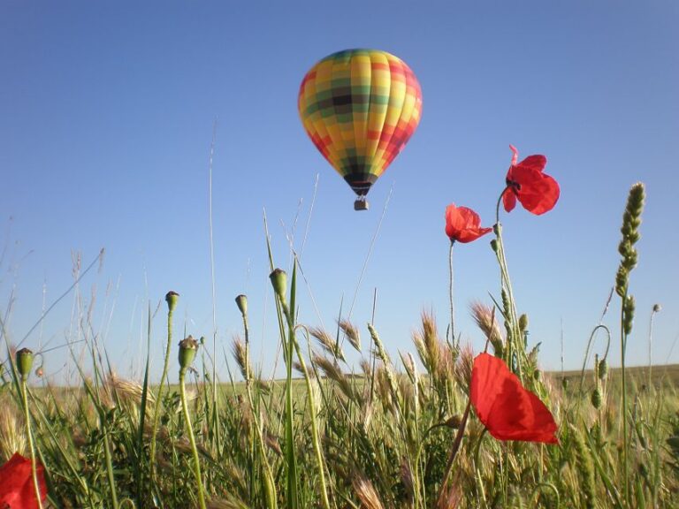Segovia: Hot-Air Balloon Flight With Optional 3-Course Lunch