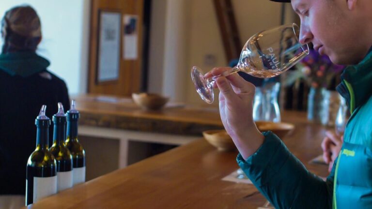 Self-Guided Wine Tasting Audio Tour – Amador County CA