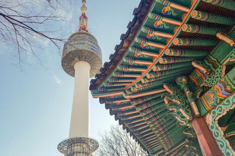 Seoul: Ancient Palaces and Scenic Points Walking Tour