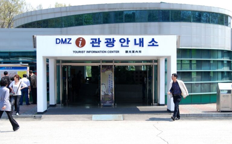 Seoul: DMZ, Gyeongbokgung Palace & City Tour