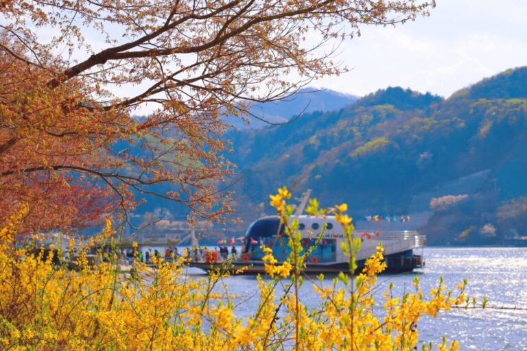 Seoul: Nami Island, Petite France, & Optional Railbike Tour