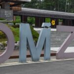 1 seoul private customized tour to nami island and more Seoul Private Customized Tour to Nami Island and More