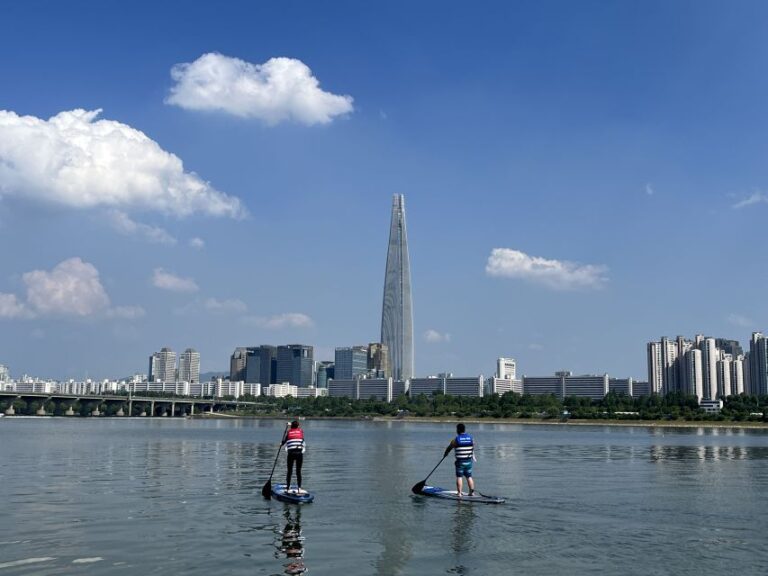 Seoul: Stand Up Paddle Board(SUP) & Kayak in Han River