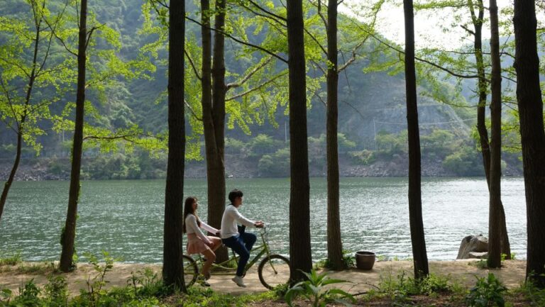 Seoul To/From Nami Island: Round-Trip Shuttle Service