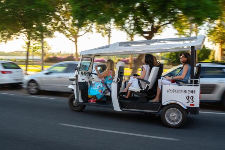 Seville: City Tour by Private Eco Tuk Tuk